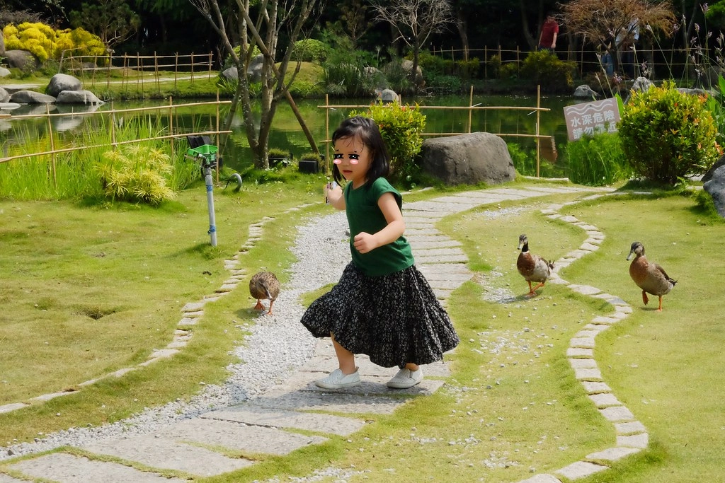 【雲林虎尾】澄霖沉香味道森林館，浪漫的愛心落羽松池塘，日式禪風庭院台版兼六園 @飛天璇的口袋