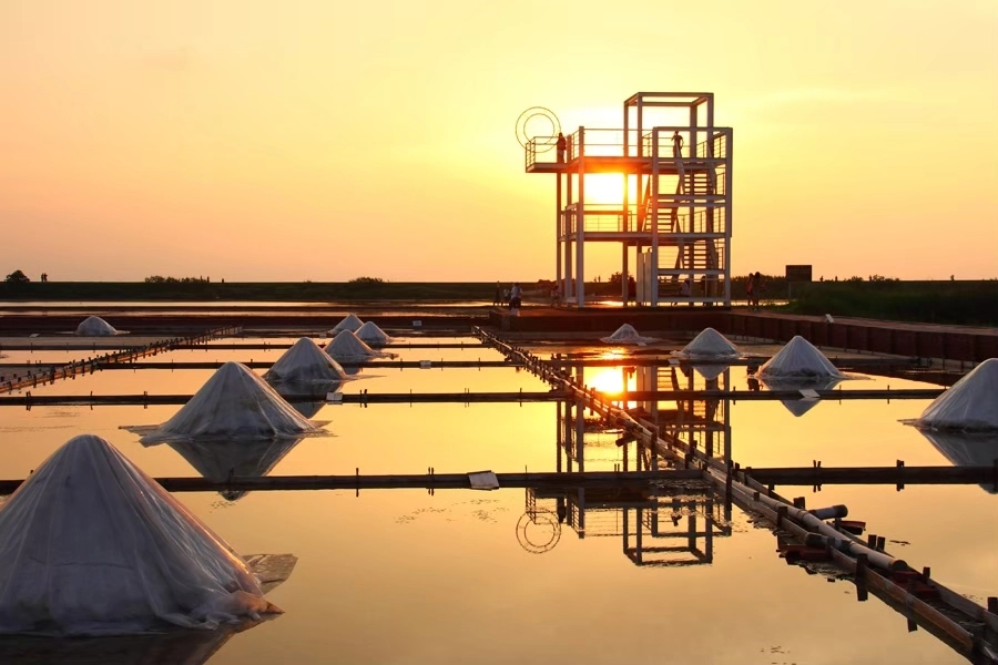 雲嘉南濱海地區｜雲嘉南一日遊，全台首輛鳥類主題專車亮相，搭乘台灣好行西濱快線一日遊 @飛天璇的口袋