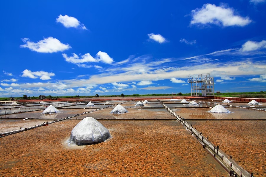 雲嘉南西濱一日遊｜台南北門-嘉義布袋，台61線西濱快速道路一日遊，西濱旅遊景點懶人包 @飛天璇的口袋