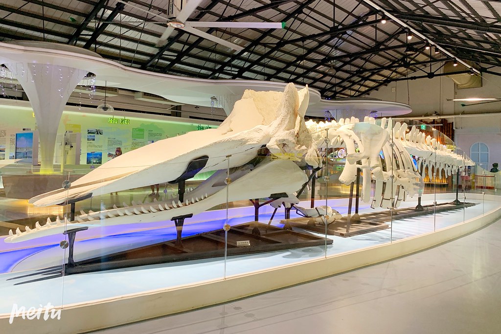 雲嘉南西濱一日遊｜台南北門-嘉義布袋，台61線西濱快速道路一日遊，西濱旅遊景點懶人包 @飛天璇的口袋