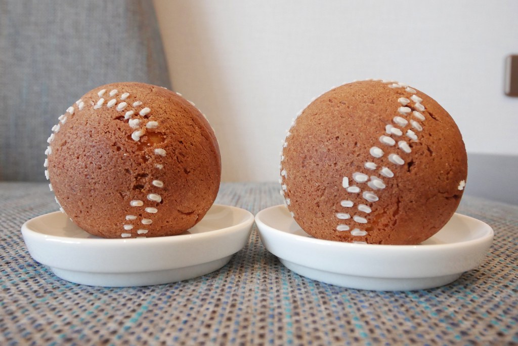 桃園龍潭｜名人堂花園大飯店，桃園最夯親子飯店，全台最大的棒球主題飯店，一泊二食分享 @飛天璇的口袋