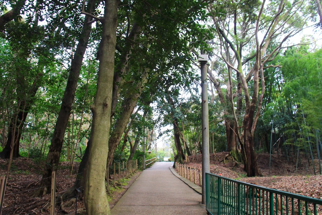 日本京都｜石清水八幡宮，日本三大八幡宮，體驗男山小纜車，京都近郊賞櫻聖地 @飛天璇的口袋