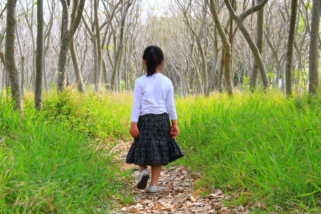 龍貓隧道-無患子森林free｜台中后里IG打卡小密境，仿佛進入電影龍貓般場景 @飛天璇的口袋