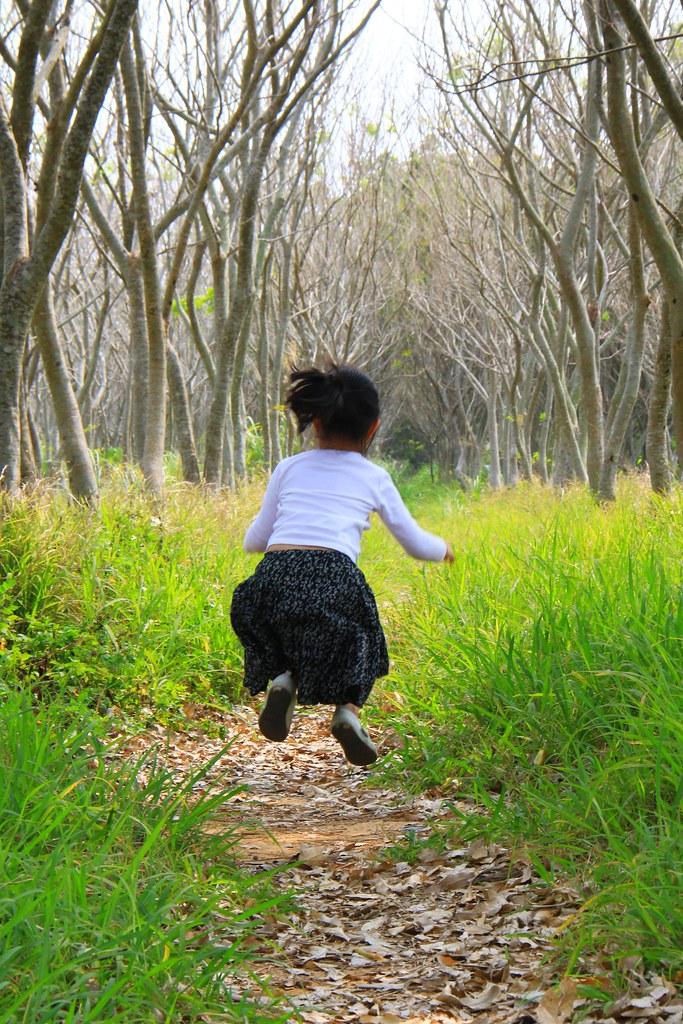 龍貓隧道-無患子森林free｜台中后里IG打卡小密境，仿佛進入電影龍貓般場景 @飛天璇的口袋