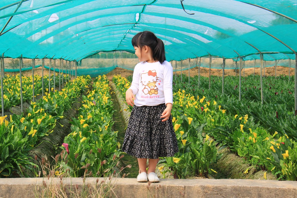 龍貓隧道-無患子森林free｜台中后里IG打卡小密境，仿佛進入電影龍貓般場景 @飛天璇的口袋