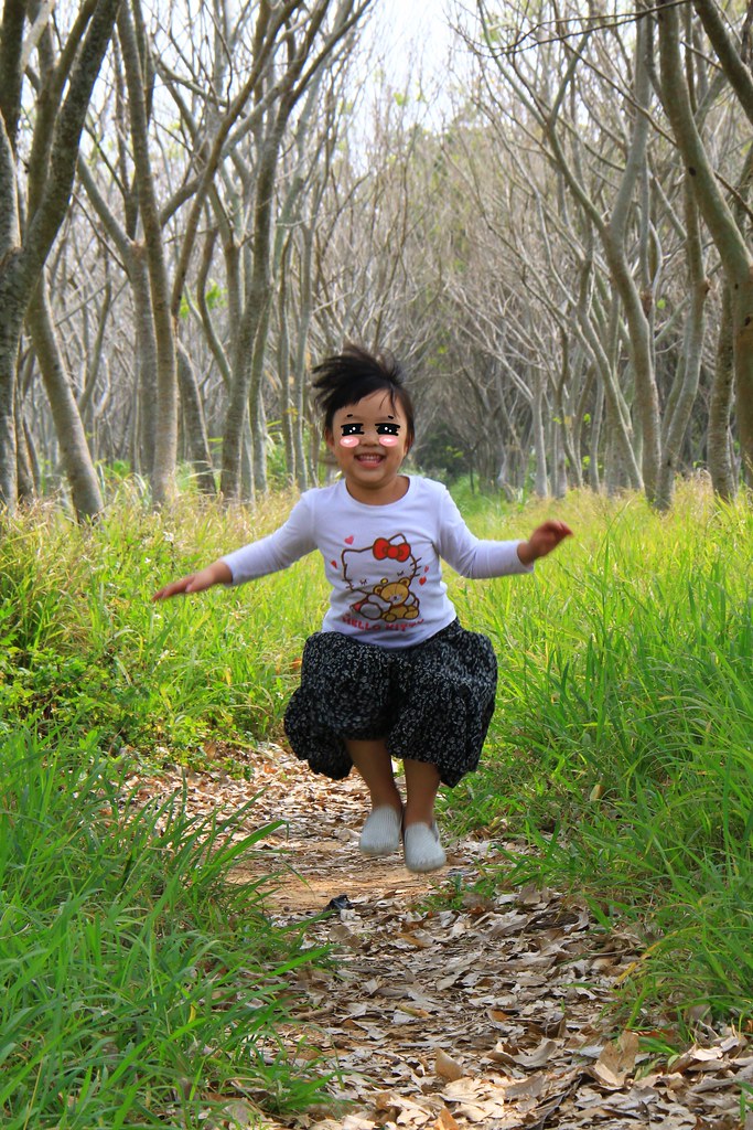 龍貓隧道-無患子森林free｜台中后里IG打卡小密境，仿佛進入電影龍貓般場景 @飛天璇的口袋