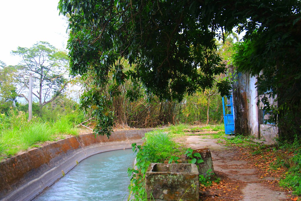 圳磚橋八號隧道｜后里IG拍照打卡小密境，仿佛走進神隱少女場景 @飛天璇的口袋