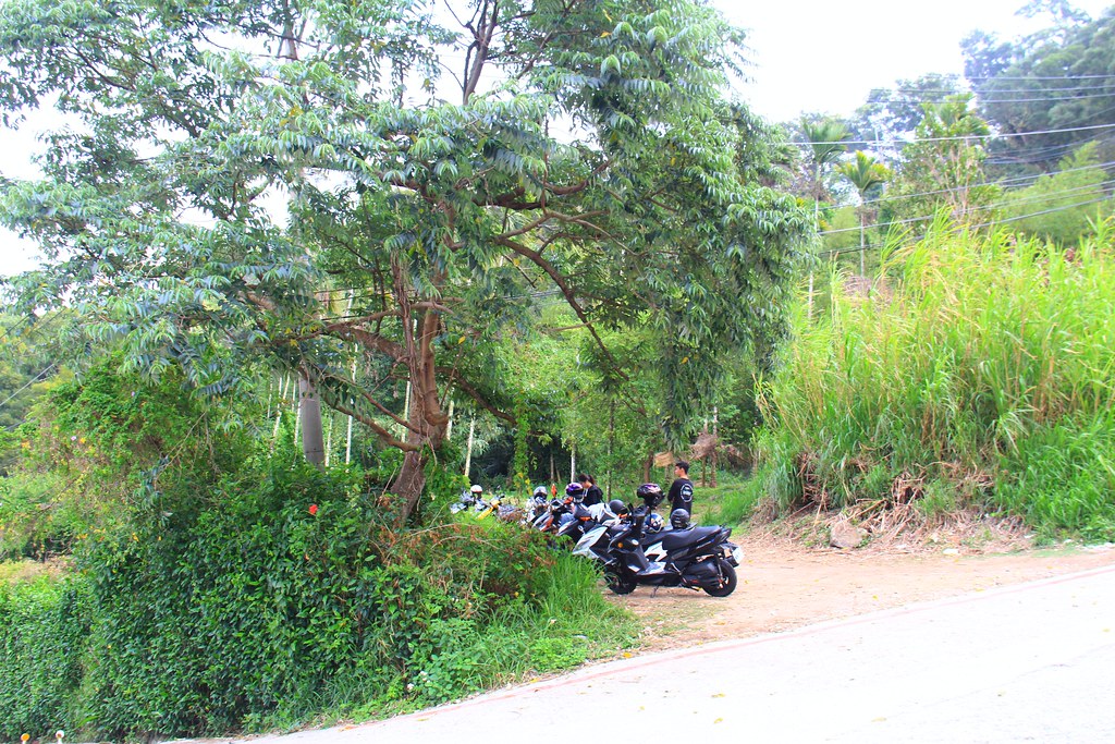 圳磚橋八號隧道｜后里IG拍照打卡小密境，仿佛走進神隱少女場景 @飛天璇的口袋