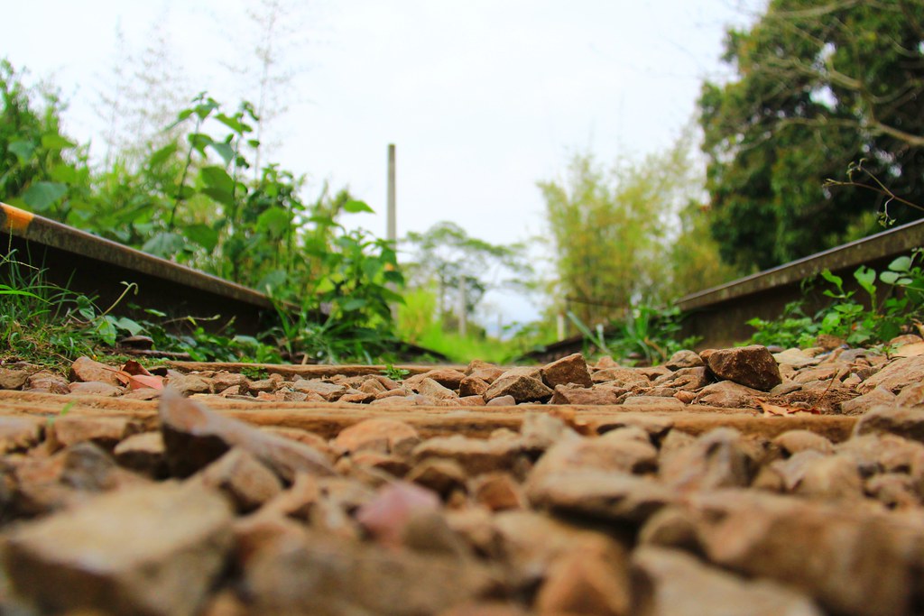 圳磚橋八號隧道｜后里IG拍照打卡小密境，仿佛走進神隱少女場景 @飛天璇的口袋