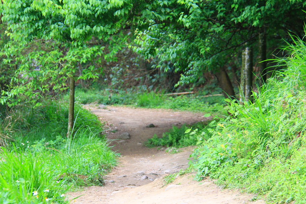 圳磚橋八號隧道｜后里IG拍照打卡小密境，仿佛走進神隱少女場景 @飛天璇的口袋