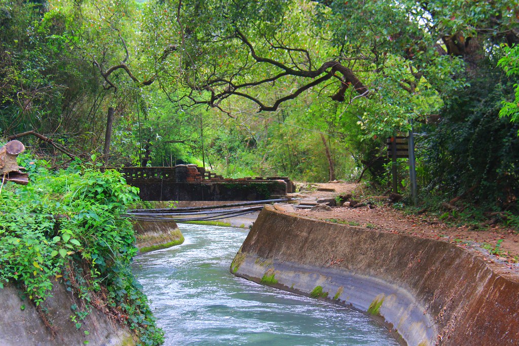圳磚橋八號隧道｜后里IG拍照打卡小密境，仿佛走進神隱少女場景 @飛天璇的口袋