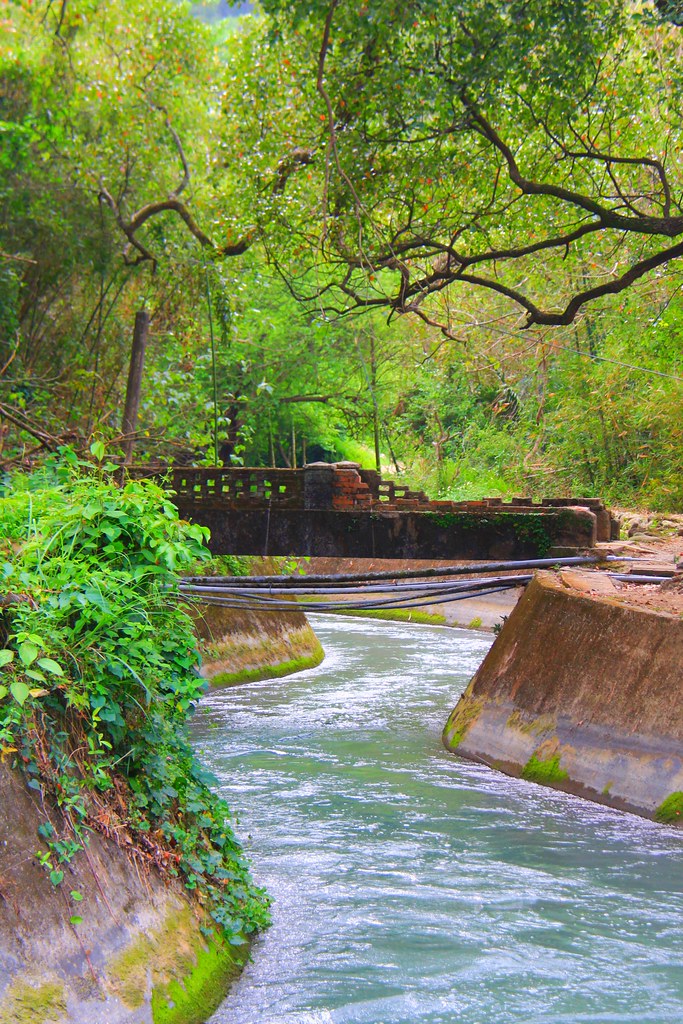 圳磚橋八號隧道｜后里IG拍照打卡小密境，仿佛走進神隱少女場景 @飛天璇的口袋
