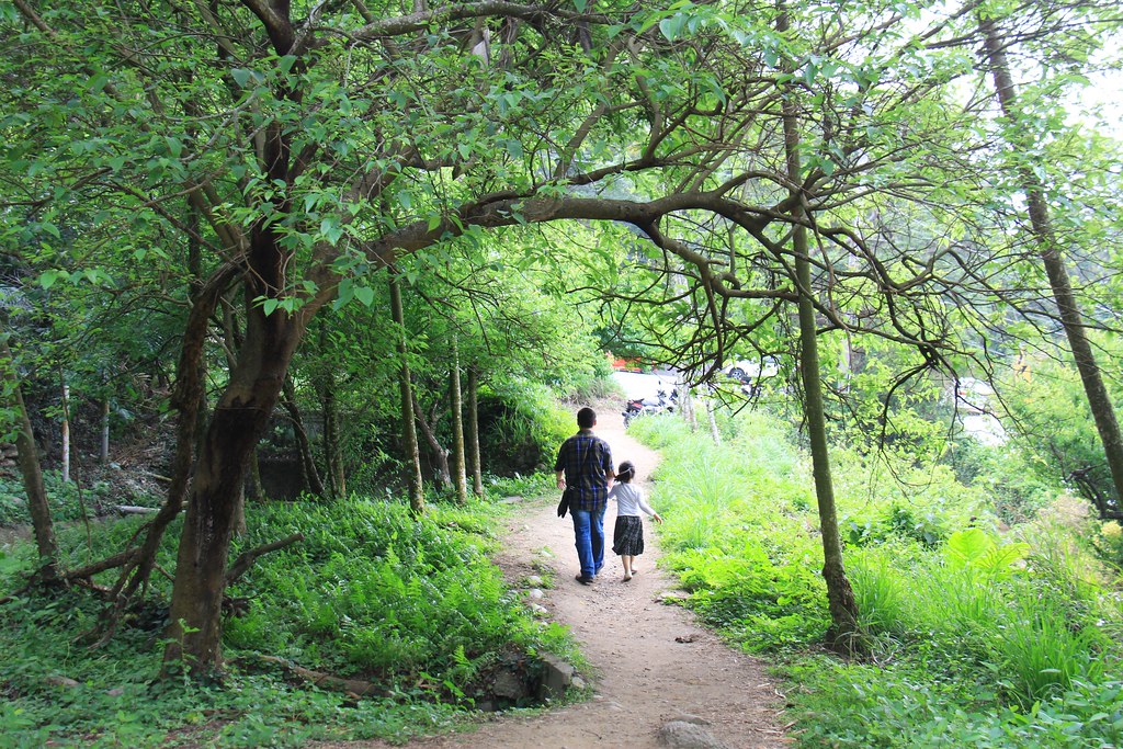圳磚橋八號隧道｜后里IG拍照打卡小密境，仿佛走進神隱少女場景 @飛天璇的口袋