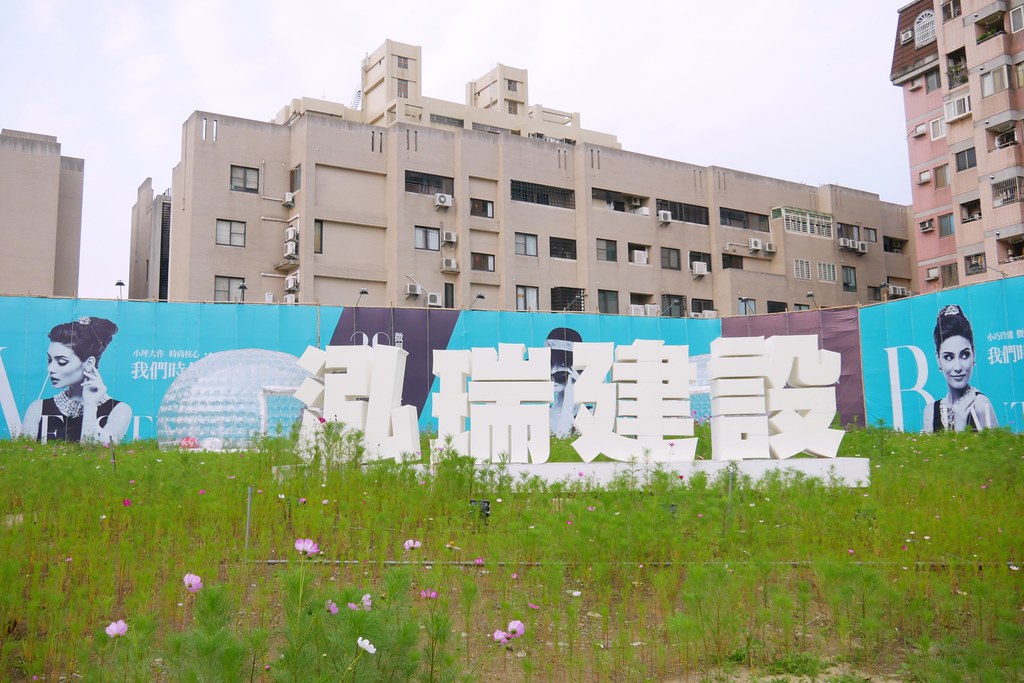 台中巨型泡泡屋：還有可愛的波斯菊花海~台中IG打卡免費景點！ @飛天璇的口袋