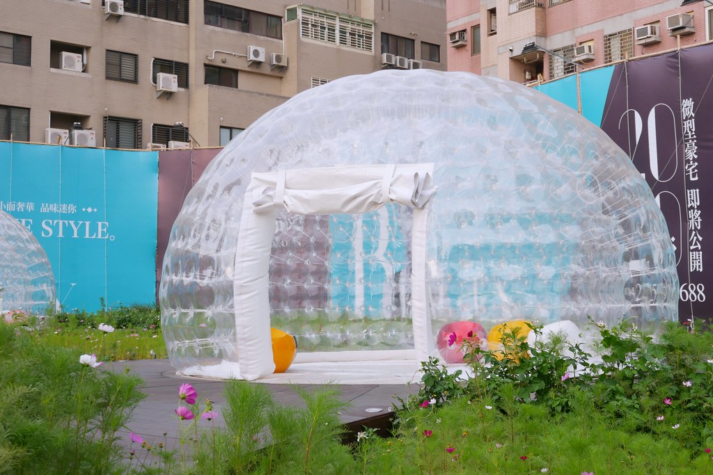 台中巨型泡泡屋：還有可愛的波斯菊花海~台中IG打卡免費景點！ @飛天璇的口袋