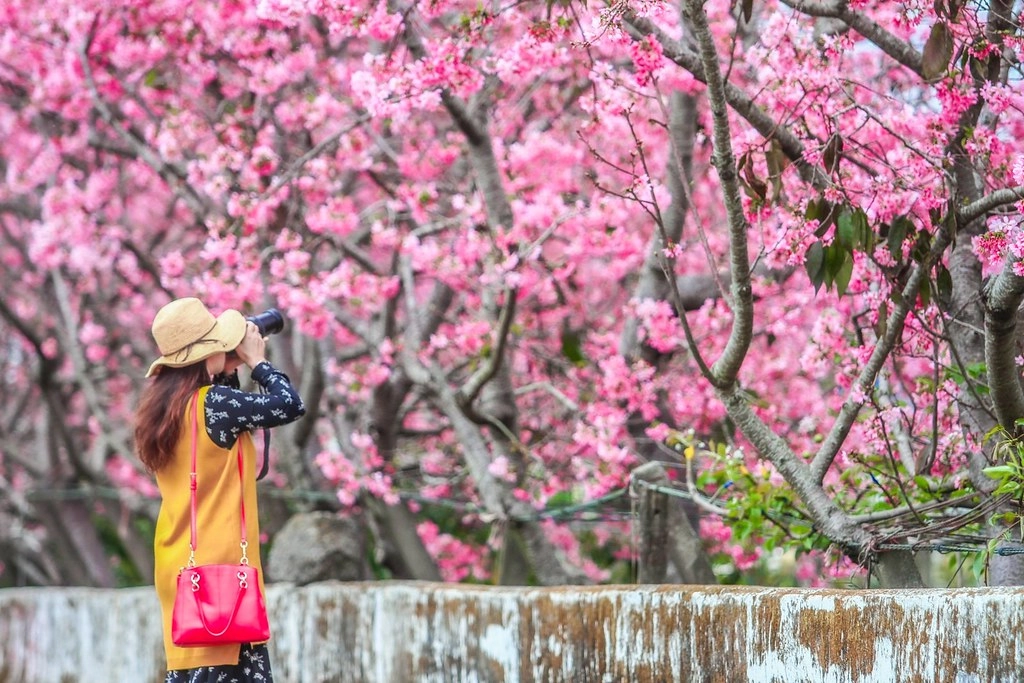 台中新社｜新社美食景點一日遊．30+新社景觀餐廳、旅遊景點、小吃美食、民宿推薦 @飛天璇的口袋