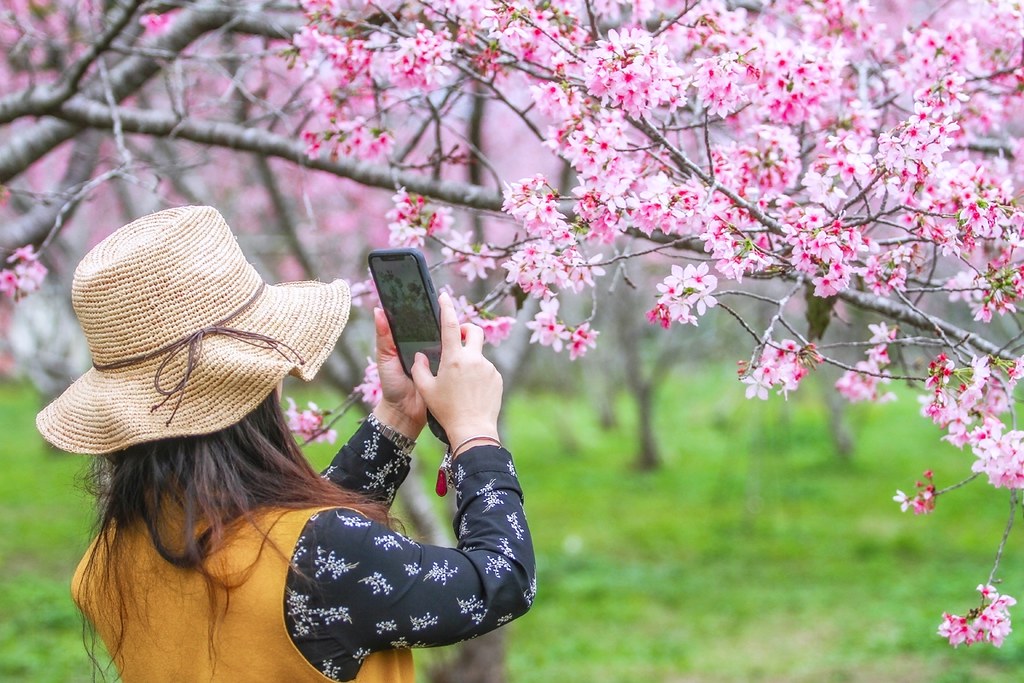 台中新社｜新社美食景點一日遊．30+新社景觀餐廳、旅遊景點、小吃美食、民宿推薦 @飛天璇的口袋