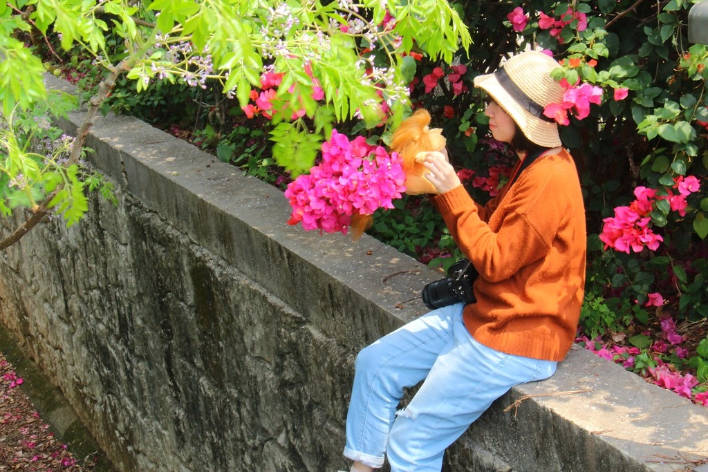 台中西屯｜中科東大路九重葛，中科東大公園外牆，綿延400公尺的九重葛，台中IG打卡熱門景點 @飛天璇的口袋