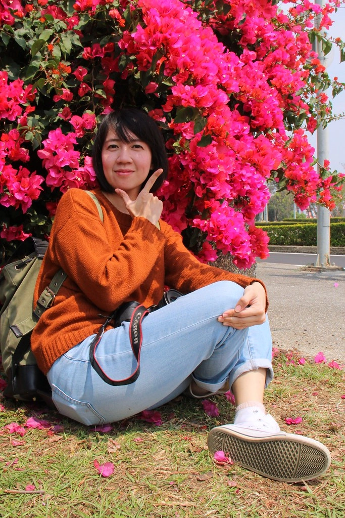 台中西屯｜中科東大路九重葛，中科東大公園外牆，綿延400公尺的九重葛，台中IG打卡熱門景點 @飛天璇的口袋