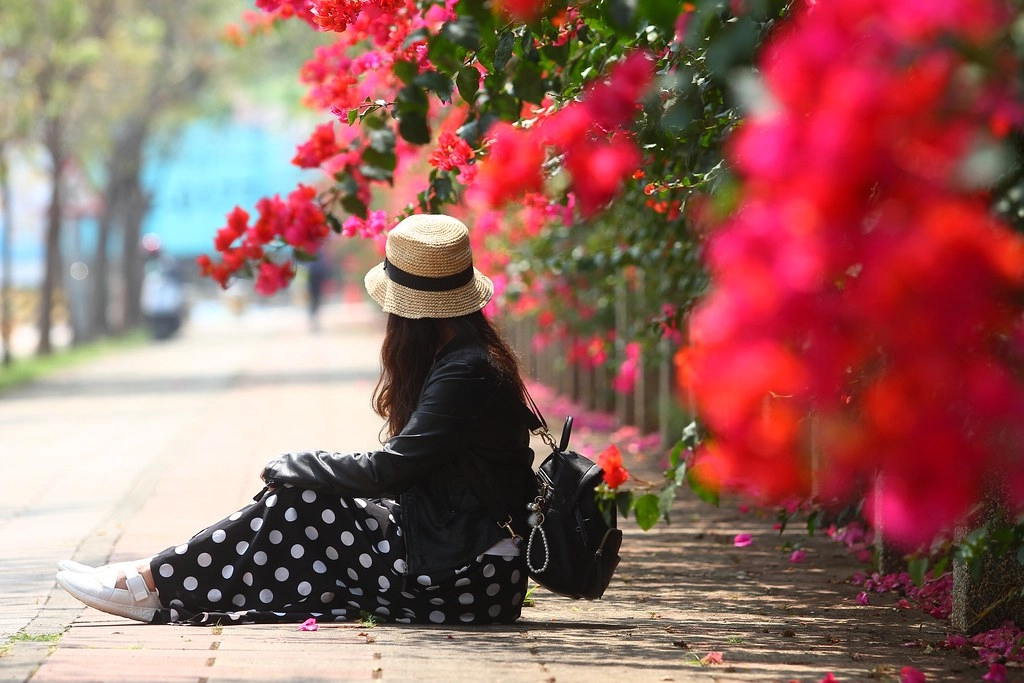 台中西屯｜中科東大路九重葛，中科東大公園外牆，綿延400公尺的九重葛，台中IG打卡熱門景點 @飛天璇的口袋
