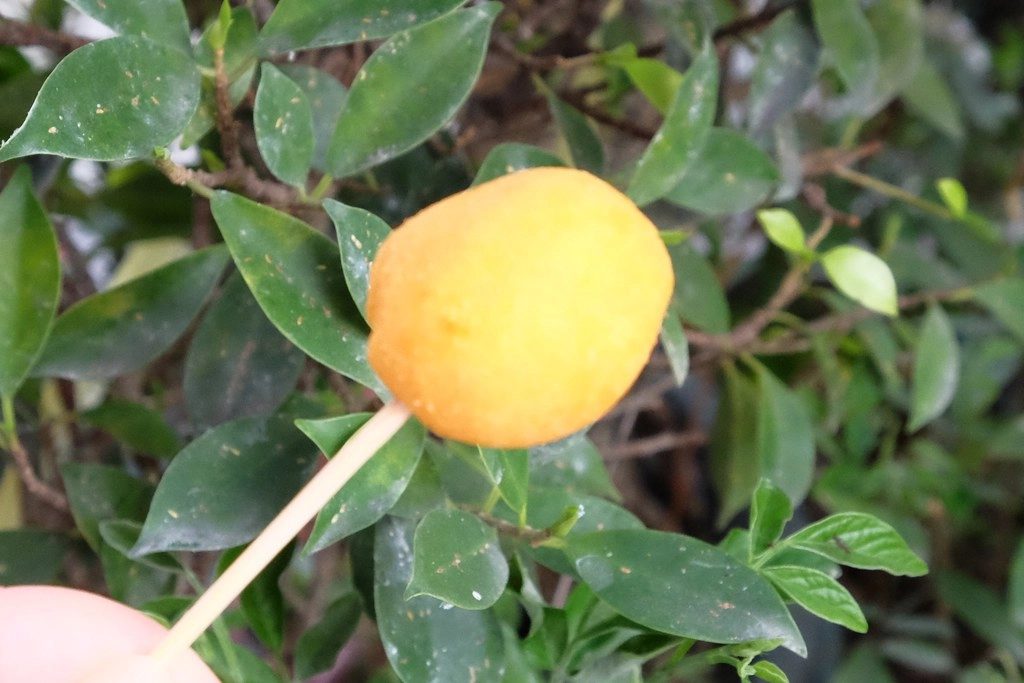 台中沙鹿｜沙鹿麻糬燒創始店．現點現做燒麻糬6種口味，地瓜球也很好吃 @飛天璇的口袋