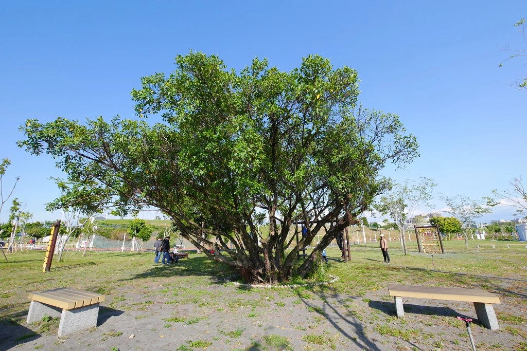 台中西屯｜中央公園．台中的新綠洲公園，12大感官體驗區，必拍景點推薦 @飛天璇的口袋
