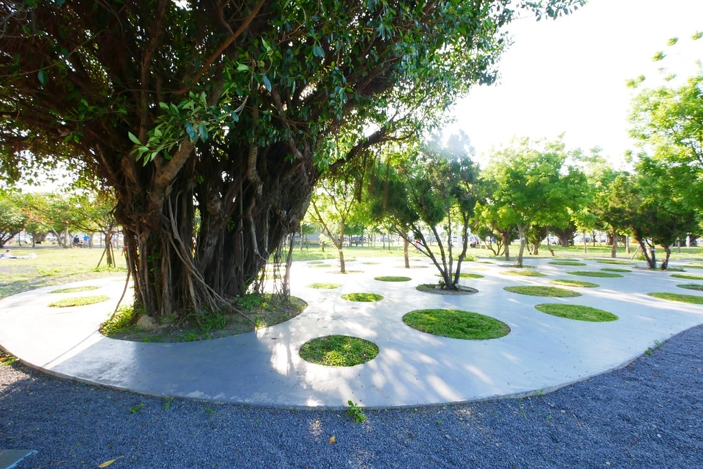 台中西屯｜中央公園．台中的新綠洲公園，12大感官體驗區，必拍景點推薦 @飛天璇的口袋
