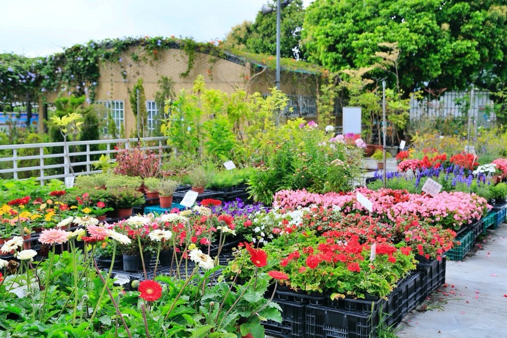 台中后里｜后里一日遊，20+后里美食景點推薦 @飛天璇的口袋