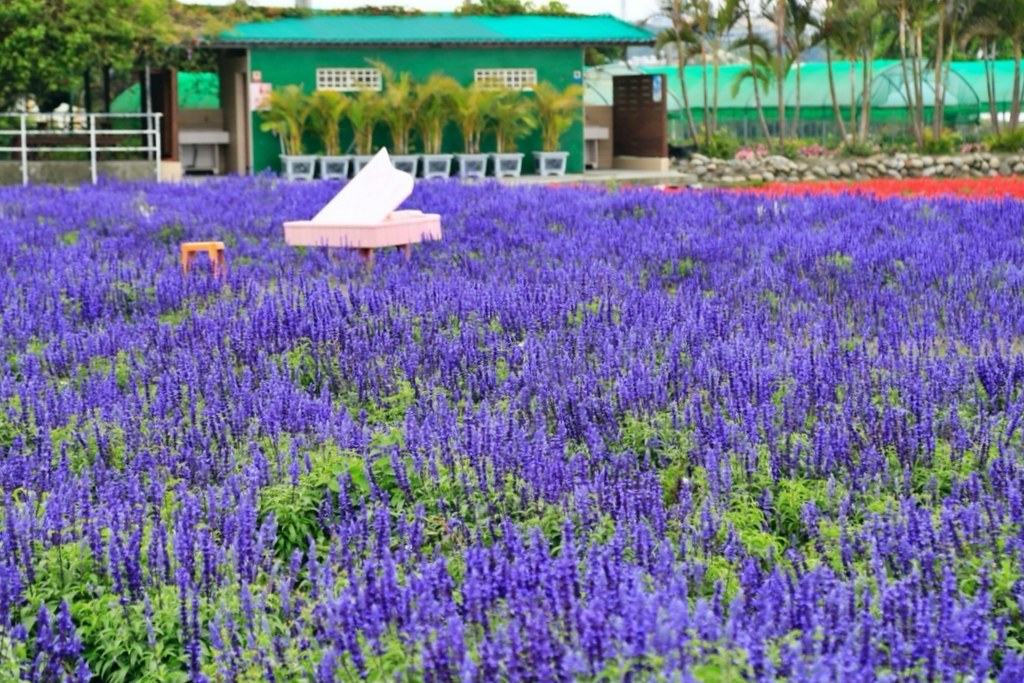 台中后里｜后里一日遊，20+后里美食景點推薦 @飛天璇的口袋