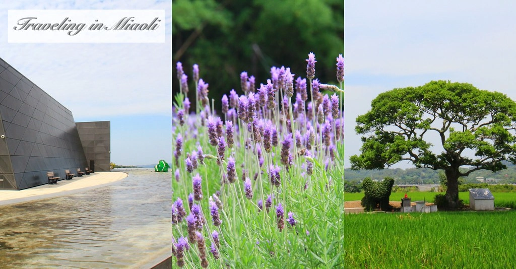 蘇維拉莊園｜蘑菇精靈樹屋、75公尺長森林溜滑梯、瀑布雨林咖啡屋 @飛天璇的口袋