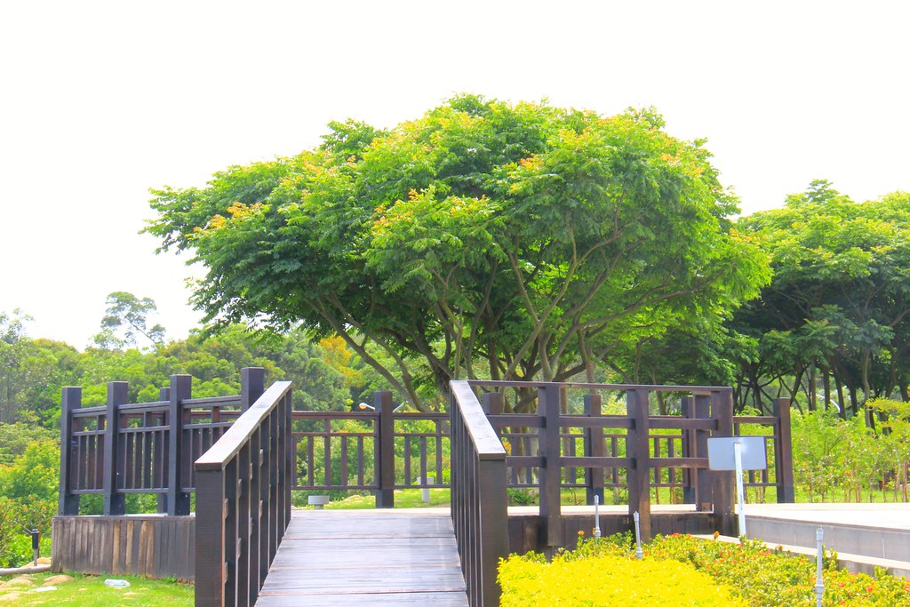 苗栗銅鑼｜苗栗客家文化館．浪漫裝置藝術超好拍，苗栗親子旅遊景點 @飛天璇的口袋