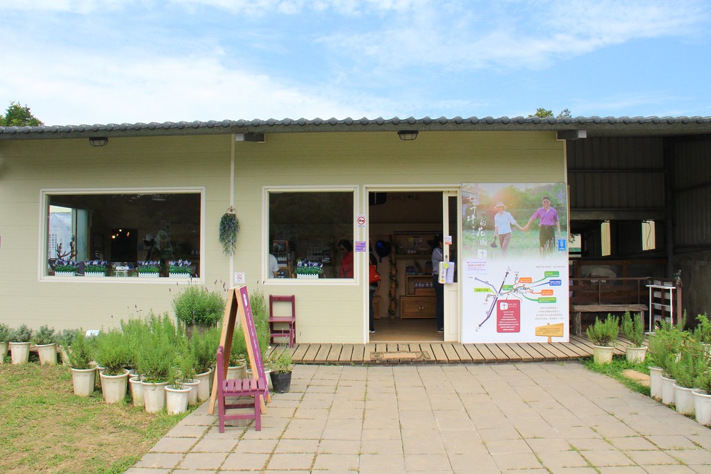 苗栗頭屋｜葛瑞絲香草田，全台最大的薰衣草園，浪漫的紫色花海綻放中 @飛天璇的口袋
