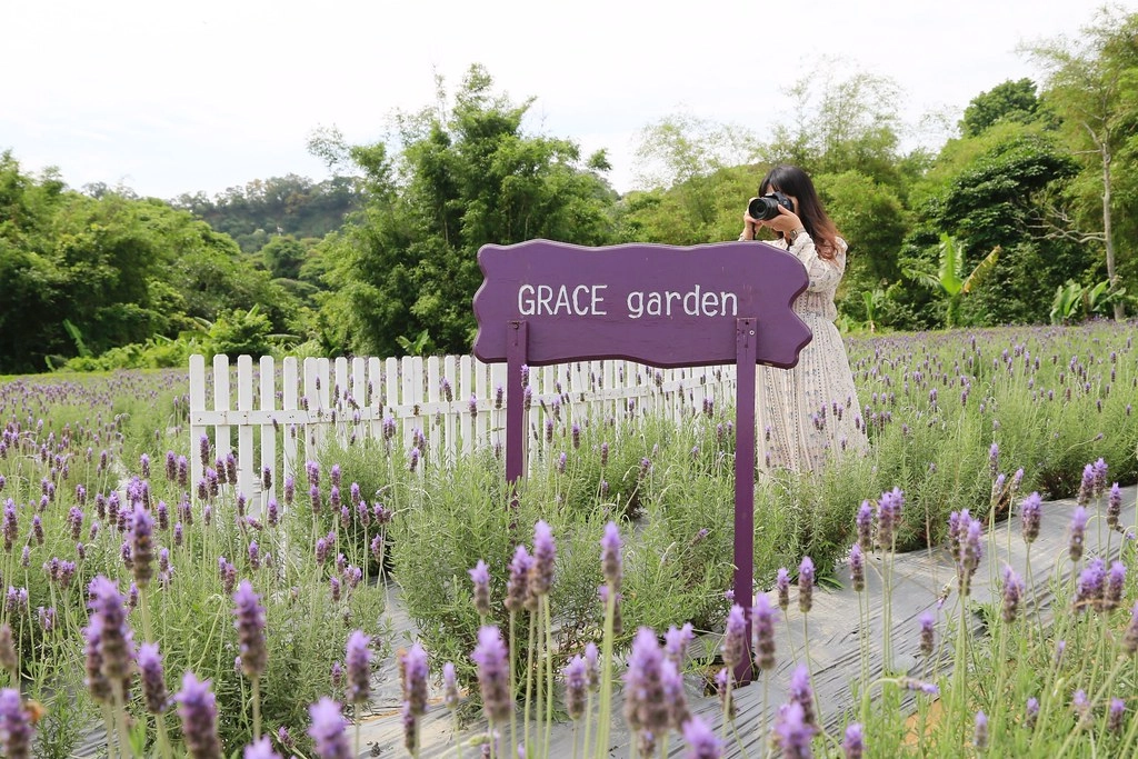 苗栗頭屋｜葛瑞絲香草田，全台最大的薰衣草園，浪漫的紫色花海綻放中 @飛天璇的口袋