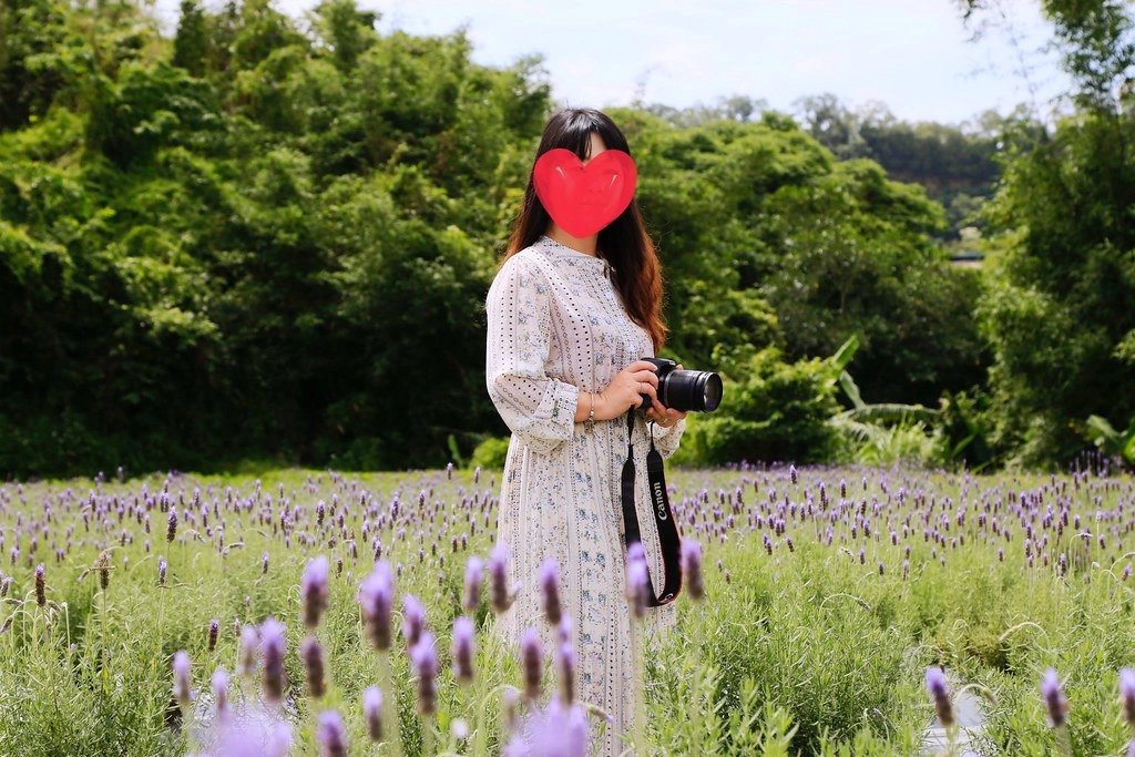 苗栗頭屋｜葛瑞絲香草田，全台最大的薰衣草園，浪漫的紫色花海綻放中 @飛天璇的口袋
