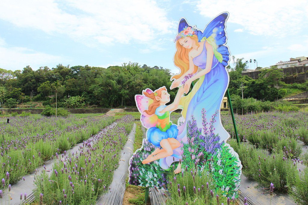 苗栗頭屋｜葛瑞絲香草田，全台最大的薰衣草園，浪漫的紫色花海綻放中 @飛天璇的口袋