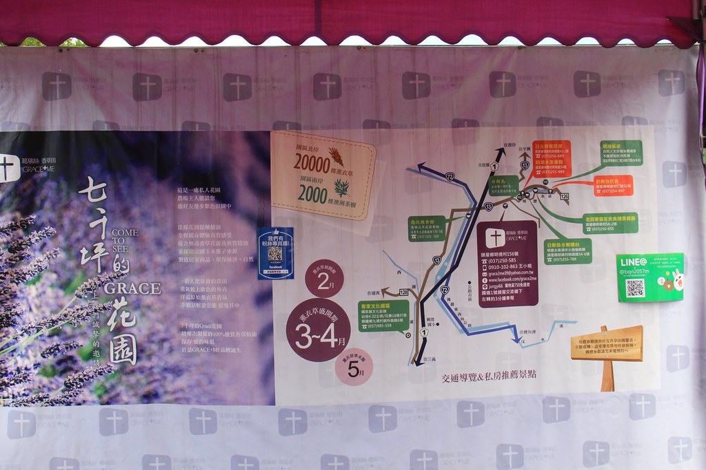 苗栗頭屋｜葛瑞絲香草田，全台最大的薰衣草園，浪漫的紫色花海綻放中 @飛天璇的口袋