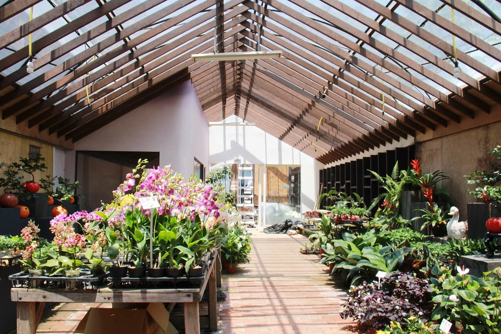 苗栗卓蘭｜花露休閒農場．4~6月繡球花季，全台唯一繡球花小火車，夢幻繡球花冰淇淋 @飛天璇的口袋