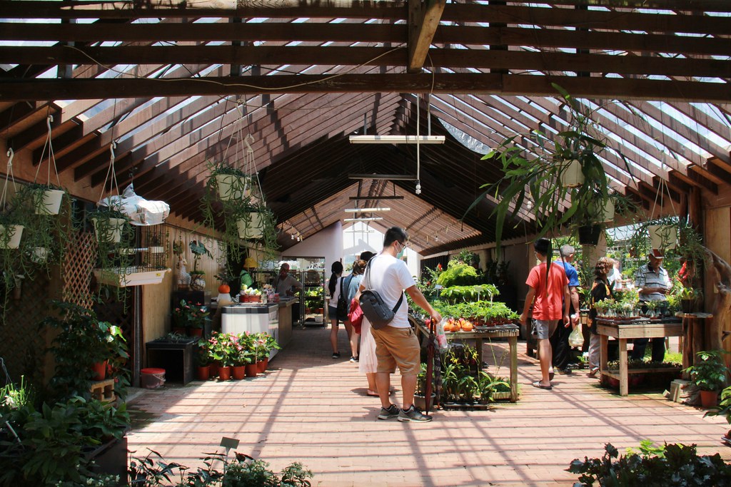 苗栗卓蘭｜花露休閒農場．4~6月繡球花季，全台唯一繡球花小火車，夢幻繡球花冰淇淋 @飛天璇的口袋