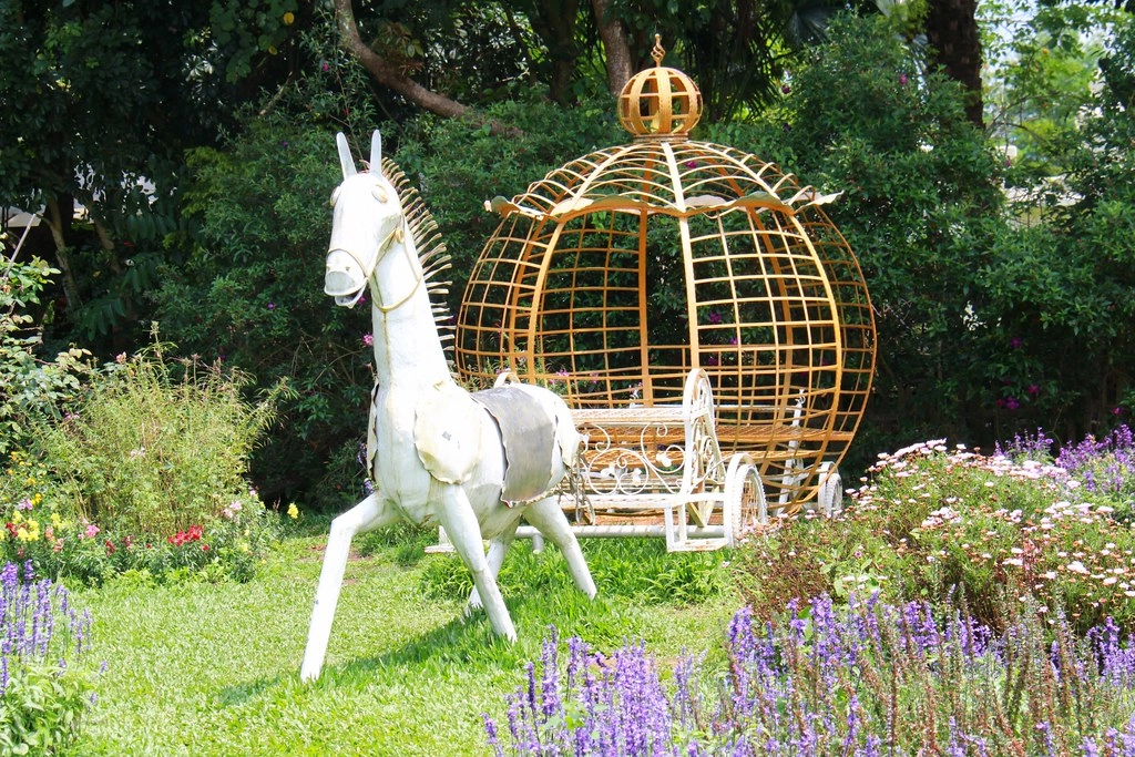 苗栗卓蘭｜花露農場，浪漫繡球花盛開，卓蘭景觀下午茶餐廳，苗栗一日遊景點推薦 @飛天璇的口袋