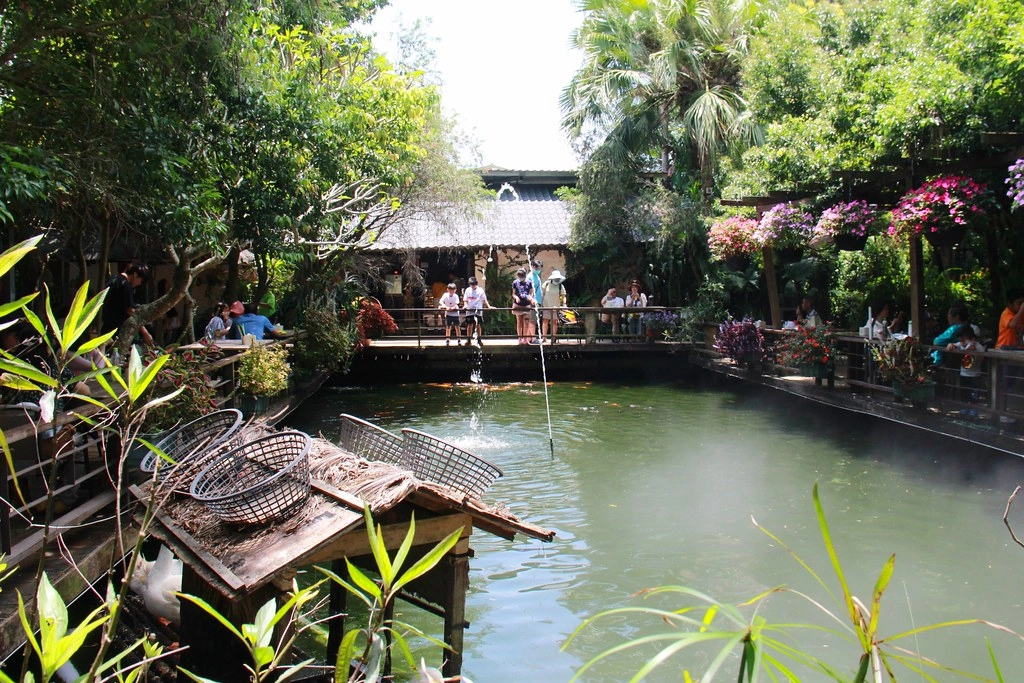 苗栗卓蘭｜花露農場，浪漫繡球花盛開，卓蘭景觀下午茶餐廳，苗栗一日遊景點推薦 @飛天璇的口袋