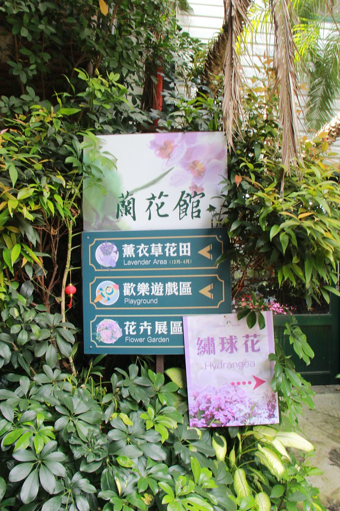 苗栗卓蘭｜花露農場，浪漫繡球花盛開，卓蘭景觀下午茶餐廳，苗栗一日遊景點推薦 @飛天璇的口袋
