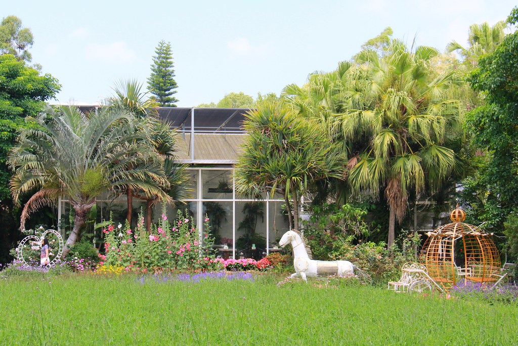 苗栗卓蘭｜花露農場，浪漫繡球花盛開，卓蘭景觀下午茶餐廳，苗栗一日遊景點推薦 @飛天璇的口袋