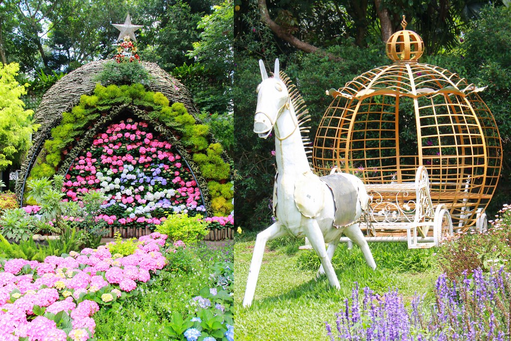 苗栗卓蘭｜花露農場，浪漫繡球花盛開，卓蘭景觀下午茶餐廳，苗栗一日遊景點推薦 @飛天璇的口袋