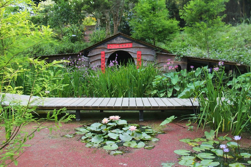 卓也小屋藏山館｜在園區賞桐花和螢火蟲，再體驗客家辦桌料理 @飛天璇的口袋