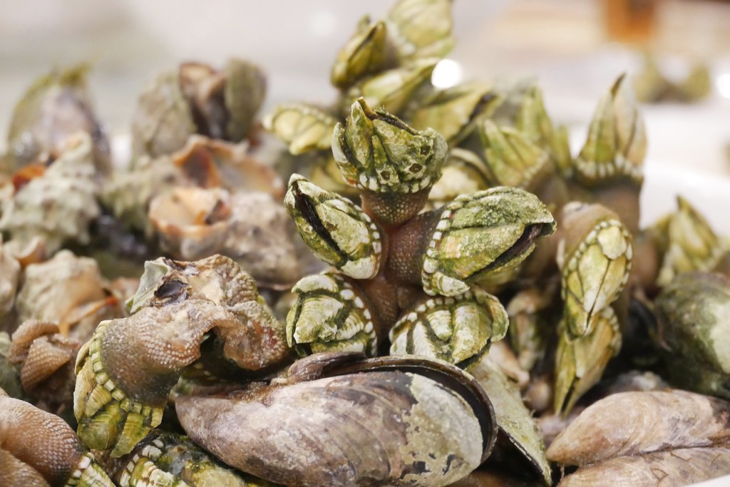 【馬祖美食】馬祖必吃美食！馬祖自由行吃什麼？精選14種在地人推薦馬祖必吃美食 @飛天璇的口袋