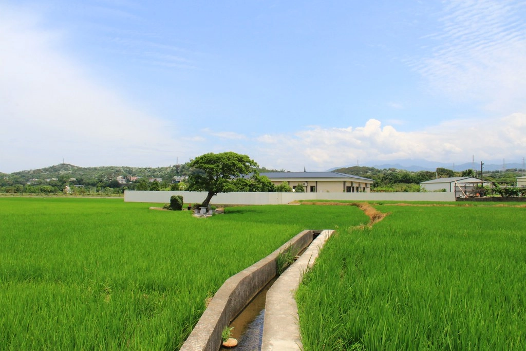 苗栗銅鑼｜龍貓土地公廟．可愛又療癒的IG打卡景點，200年歷史的田心伯公 @飛天璇的口袋