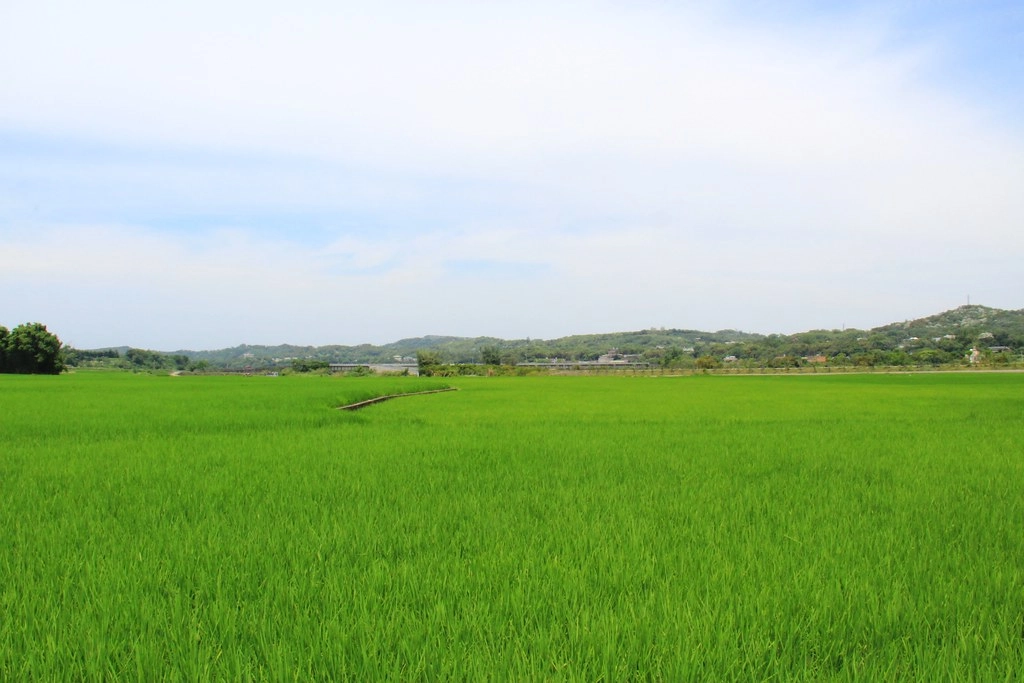 苗栗銅鑼｜龍貓土地公廟．可愛又療癒的IG打卡景點，200年歷史的田心伯公 @飛天璇的口袋