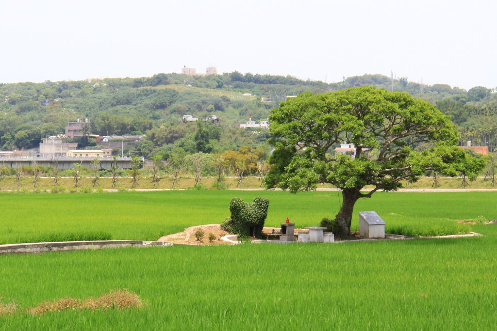苗栗銅鑼｜龍貓土地公廟．可愛又療癒的IG打卡景點，200年歷史的田心伯公 @飛天璇的口袋