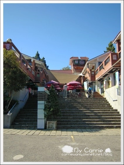 花蓮旅遊｜台中-花蓮｜遇見中橫公路之美．全台最美麗的公路 @飛天璇的口袋