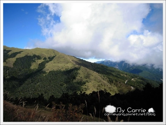 花蓮旅遊｜台中-花蓮｜遇見中橫公路之美．全台最美麗的公路 @飛天璇的口袋